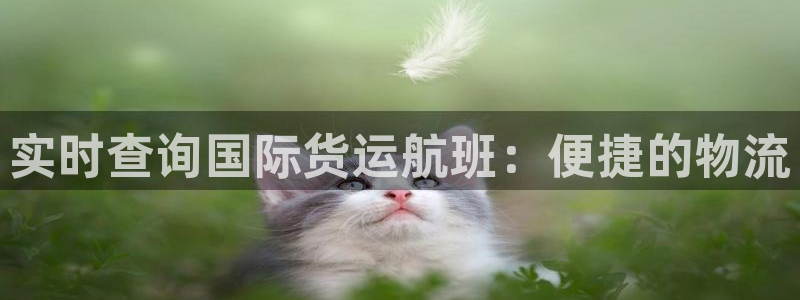k豆钱包是合法的吗：实时查询国际货运航班：便捷的物流