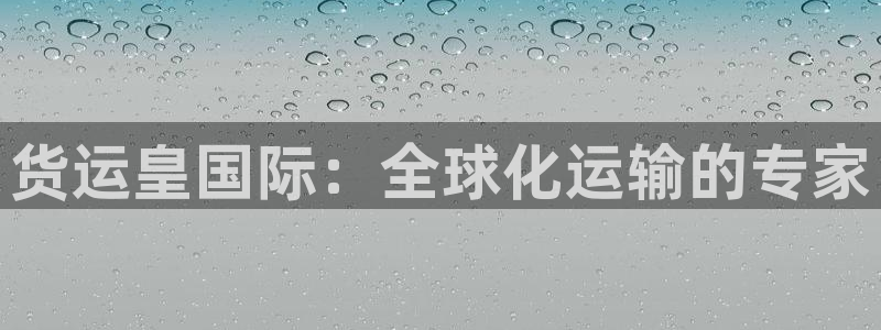 您好,k豆钱包下：货运皇国际：全球化运输的专家