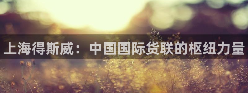k豆钱包下载不了：上海得斯威：中国国际货联的枢纽力量