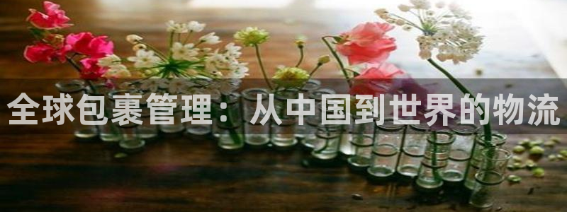 怎么才能下载k豆钱包：全球包裹管理：从中国到世界的物流