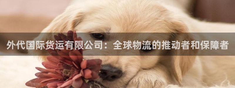 k豆钱包官网下载：外代国际货运有限公司：全球物流的推动者