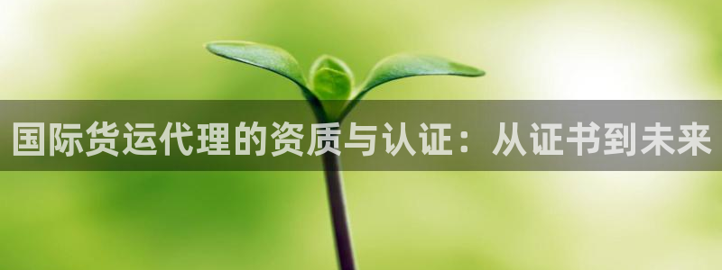 k豆钱包下载链接