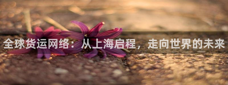 k豆钱包下载地址：全球货运网络：从上海启程，走向世界的未