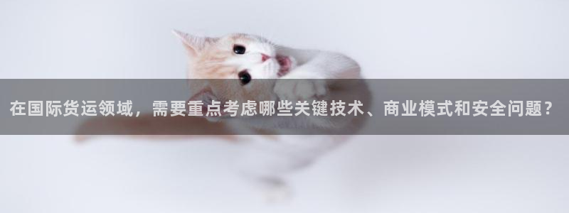 k豆钱包代付：在国际货运领域，需要重点考虑哪些关键技术、