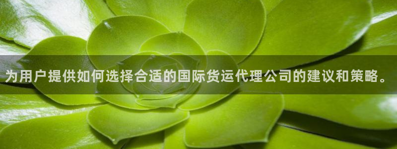 k豆钱包ios下载地址
