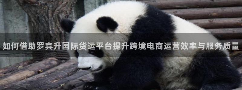 k豆钱包官网下载