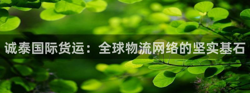 k豆钱包搬砖赚钱：诚泰国际货运：全球物流网络的坚实基石