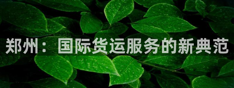 k豆钱包卖豆：郑州：国际货运服务的新典范