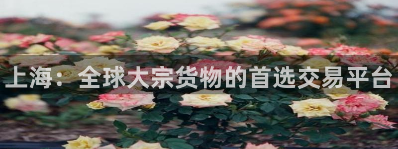 下载k豆钱包：上海：全球大宗货物的首选交易平台