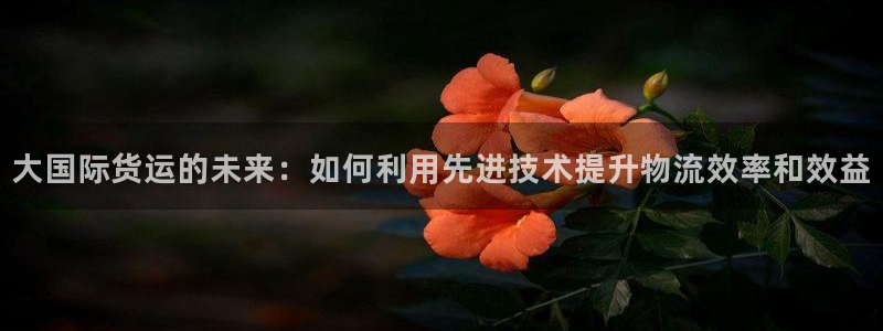 k豆支付钱包下载安装