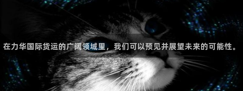 k豆钱包官网下载