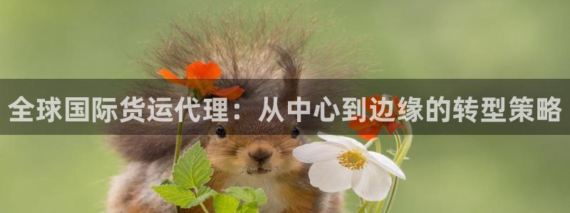 k豆钱包安卓版下载：全球国际货运代理：从中心到边缘的转型