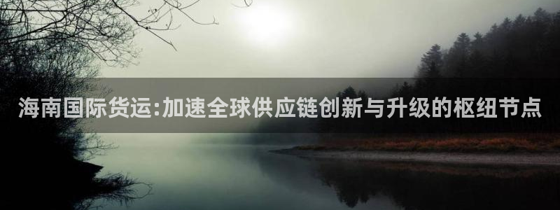 k豆钱包官网入口：海南国际货运:加速全球供应链创新与升级