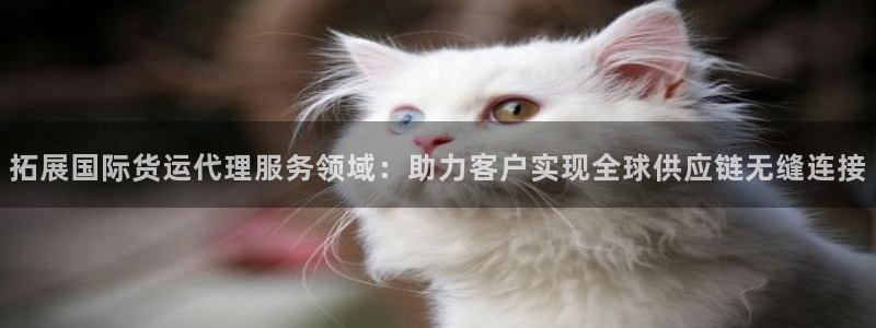 k豆钱包最新版本下载2024：拓展国际货运代理服务领域：