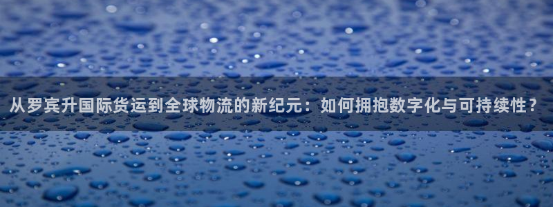 k豆钱包地址怎么写：从罗宾升国际货运到全球物流的新纪元：